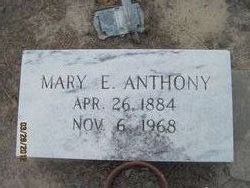 Mary Elizabeth Anthony 