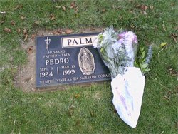 Pedro Palma 