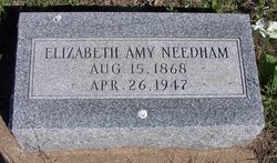Elizabeth Amy Needham 