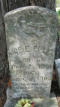 Joe E. Ellis 