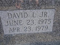 David L Adams Jr.