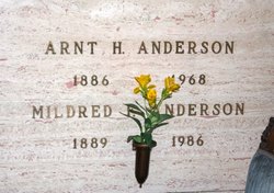 Arnt Henry Anderson 