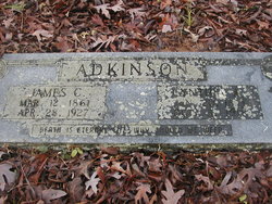 Cynthia Ann <I>Freeman</I> Adkinson 