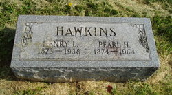 Henry Lee Hawkins 