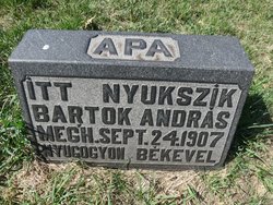 Andras “Andrew” Bartok 