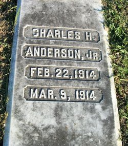 Charles H Anderson Jr.