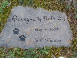 Remmy “My Bookie Boy” 