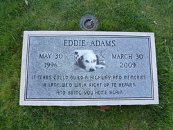 Eddie Adams 