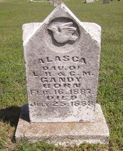 Alasca Gandy 