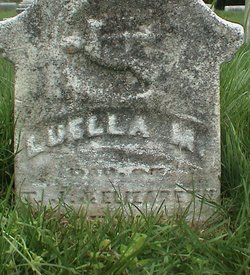 Luella M. Stearns 