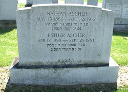 Nathan Ascher 