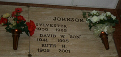 David Wayne Johnson 
