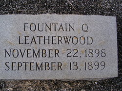 Fountain Quinn Leatherwood 