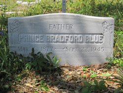 Prince Bradford Blue 