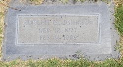 Adolph Malfred Johnson 