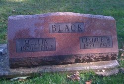 Mellia <I>Fellows</I> Black 
