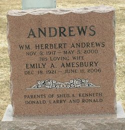 Emily A. <I>Amesbury</I> Andrews 