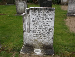 Harold Gayfer 
