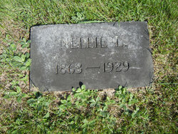 Nellie L Andrews 