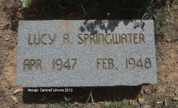 Lucy Ann Springwater 