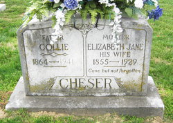 Elizabeth Jane “Lizzie” <I>Benham</I> Cheser 