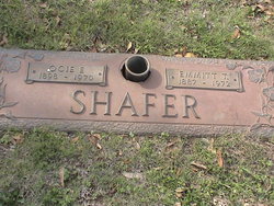 Thomas E Shafer 