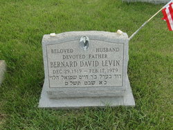 Bernard David Levin 
