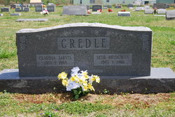 Nellie Claudia <I>Jarvis</I> Credle 
