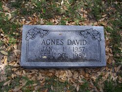 Agnes David 