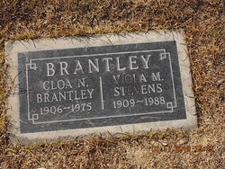 Viola M <I>Stevens</I> Brantley 