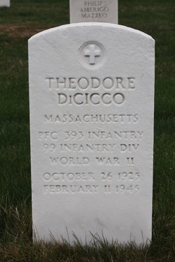 Theodore DiCicco 