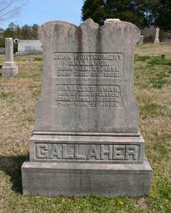 Parallee Swan <I>Doughty</I> Gallaher 