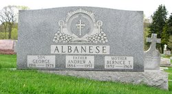 Andrew A. Albanese 