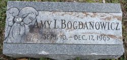 Amy L Bogdanowicz 