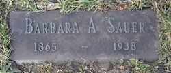 Barbara A Sauer 