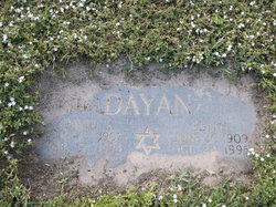 David S Dayan 