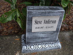 Steve Anderson 