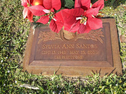 Sylvia Ann Santos 