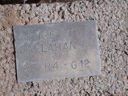 Alice M Callahan 