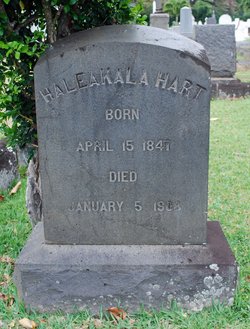 Haleakala <I>Napela</I> Hart 