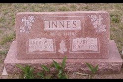 Andrew J Innes 