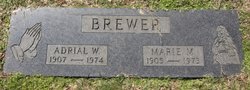 Adrial William Brewer 