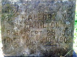 Mallory N Hamilton 