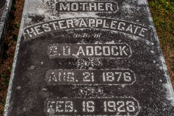 Hester Ann <I>Applegate</I> Adcock 