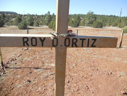 Roy D. Ortiz 