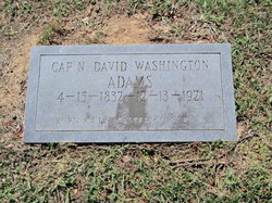 David Washington Adams 