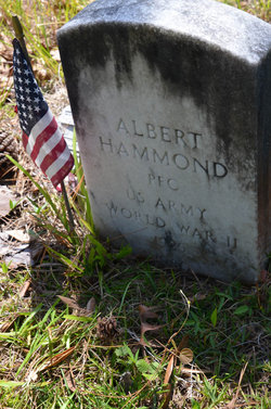 Albert Hammond 