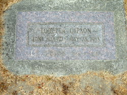 Loretta Gipson 