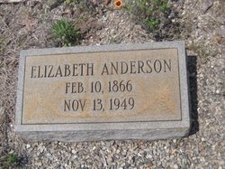 Elizabeth Margaret “Lizzie” <I>Murray</I> Anderson 