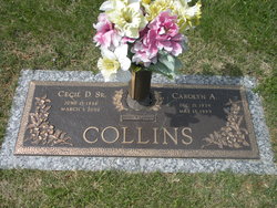 Cecil Dennis Collins Sr.